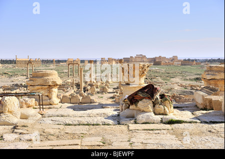 Ruines de la ville du désert, Palmyre, Syrie Moyen Orient Banque D'Images