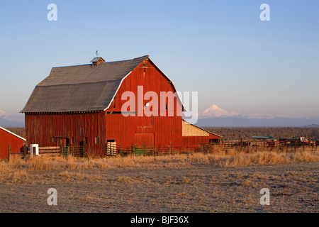 Une vieille grange rouge avec Mount Jefferson dans l'arrière-plan, dans le centre de l'Oregon Banque D'Images