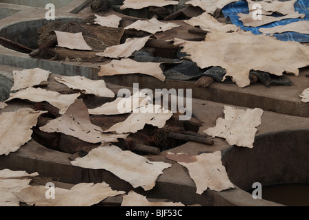 Masque séchant au soleil, les Tanneries, Marrakech Banque D'Images