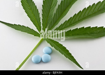 Feuilles de marijuana ainsi que des pilules bleues, isolé sur fond blanc, concept de la médecine alternative Banque D'Images