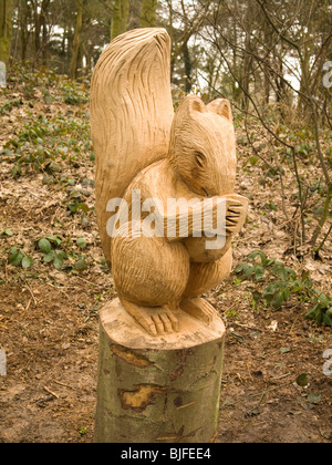 Sculpture en bois d'un écureuil par Steve Iredale sculpteur tronçonneuse local dans Errington Woods New Marske Cleveland UK Banque D'Images