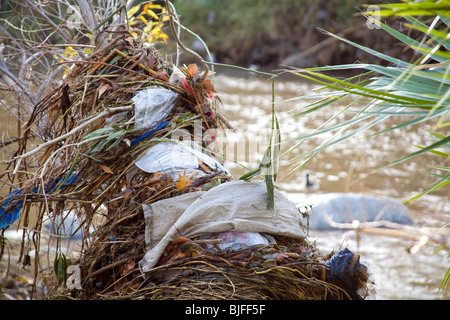 Des sacs en plastique et autres déchets se font prendre et s'accumuler dans les arbres et arbustes le long de la Los Angeles River. Los Angeles, Californie Banque D'Images