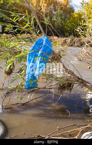 Des sacs en plastique et autres déchets se font prendre et s'accumuler dans les arbres et arbustes le long de la Los Angeles River. Los Angeles, Californie Banque D'Images