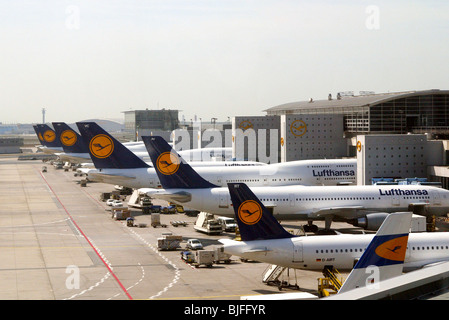 Lufhansa avions à l'aéroport de Frankfurt am Main, Allemagne Banque D'Images