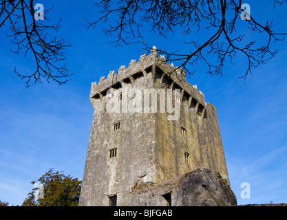 Le château de Blarney en Co.Cork, République d'Irlande, accueil à célèbre Blarney Stone Banque D'Images