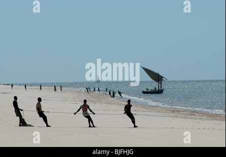 Les pêcheurs travaillant sur les filets de pêche en tirant. Linga Linga, le sud du Mozambique, l'afrique © Demelza Cloke Banque D'Images