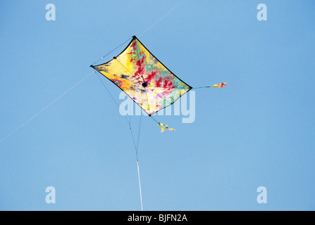 Cerfs-volants colorés en haut sky Banque D'Images