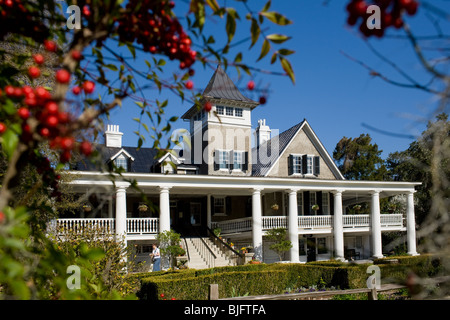 Magnolia Plantation and Gardens, Charleston, Caroline du Sud Banque D'Images