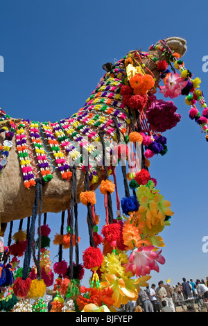 Décorées chameau. Jaisalmer Desert Festival. Le Rajasthan. L'Inde Banque D'Images