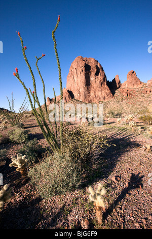 Beauté sauvage de la montagnes Kofa, KOFA Wildlife Refuge, Arizona Banque D'Images
