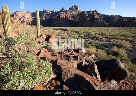 Beauté sauvage de la montagnes KOFA, KOFA Wildlife Refuge, Arizona Banque D'Images