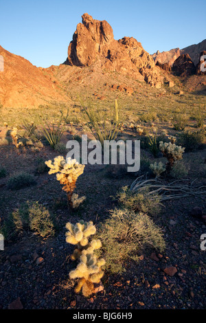 Beauté sauvage de la montagnes KOFA, KOFA Wildlife Refuge, Arizona Banque D'Images