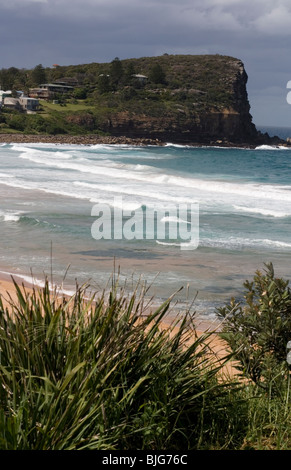 Plage d'Avalon, près de Sydney, NSW, Australie Banque D'Images