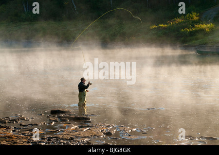 Nouveau-brunswick, Fly Fisherman casting pour le saumon atlantique dans la brume matinale sur la rivière Miramichi Banque D'Images