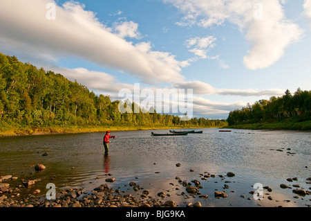 Nouveau-brunswick, Fly fisherman casting pour le saumon de l'Atlantique sur la rivière Miramichi. Banque D'Images