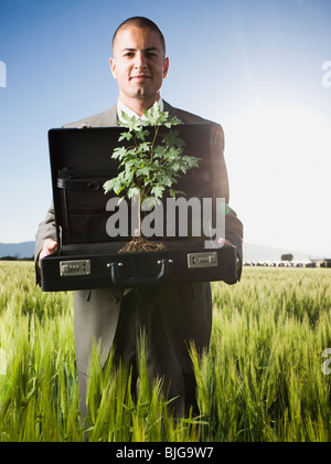 Portrait d'un porte-documents avec un arbre en c Banque D'Images