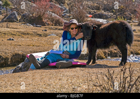 Un baisers TREKKER un bébé YAK dans le village de SAMAGAUN autour sur le MANASLU TREK - NUPRI RÉGION, NÉPAL Banque D'Images