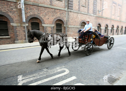 Transport de chevaux dans un Street, Dublin, Irlande Banque D'Images