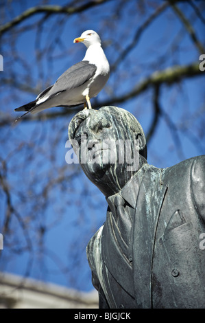 Une mouette perchée sur la tête de la statue d'Aneurin Bevan, Cardiff Wales UK Banque D'Images