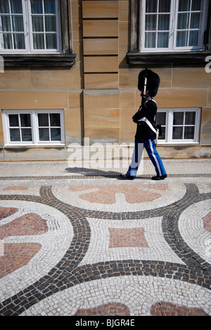 Garde royale au Palais d'Amalienborg à Copenhague, Danemark. Le palais est le siège de la famille royale danoise. Banque D'Images