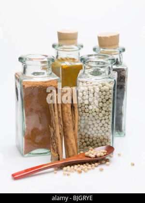 Épices diverses dans des bouteilles d'épices et des bâtons de cannelle - Banque D'Images