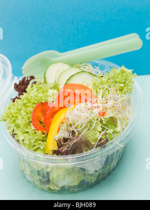 Les feuilles de salade avec des poivrons, concombre & pousses dans un contenant de plastique - Banque D'Images