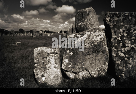 Menhirs. Le Néolithique Ménec alignements. Pierres de Carnac. Morbihan, Bretagne. France Banque D'Images