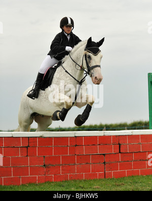 Voir cavalier sur cheval Banque D'Images