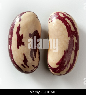 Les haricots secs au studio macro fond blanc Banque D'Images