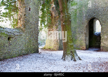 La coquille à l'abandon de l'église St Mary & grand chêne poussent au milieu de la neige suivant Norfolk, UK Banque D'Images