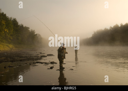 La pêche de mouche pour le saumon atlantique, Salmo salar, vers le sud-ouest la fourche de la rivière Miramichi au Nouveau-Brunswick, Canada Banque D'Images