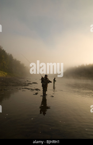 La pêche de mouche pour le saumon atlantique, Salmo salar, vers le sud-ouest la fourche de la rivière Miramichi au Nouveau-Brunswick, Canada Banque D'Images