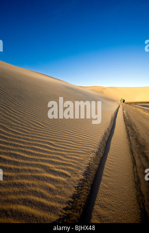 Sahara occidental, les surfers, marchant dans le désert du Sahara. Banque D'Images