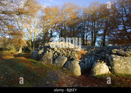 Standing Stone à neothithic historique Clava Cairns près de Culloden Moor, Inverness Banque D'Images