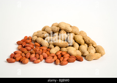 USA, de l'alimentation, les noix, les arachides et les arachides décortiquées ou coquilles sur un fond blanc. Banque D'Images