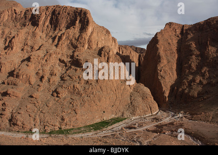 Gorges de Todra, le Maroc, l'Afrique Banque D'Images