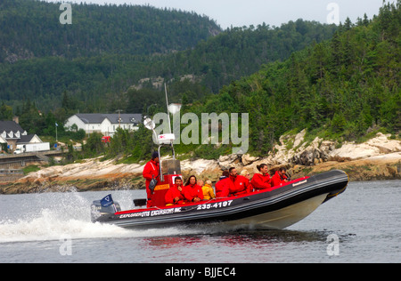 Les touristes dans un canot Zodiac à une excursion dans le Fjord du Saguenay, près de Tadoussac, Canada Banque D'Images