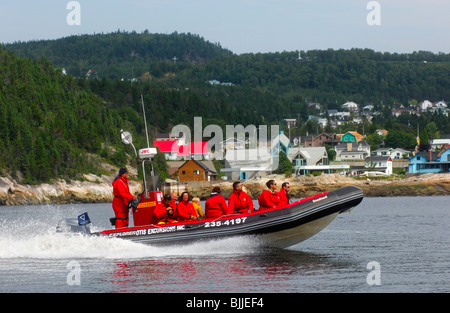 Les touristes dans un canot Zodiac à une excursion dans le Fjord du Saguenay, près de Tadoussac, Canada Banque D'Images