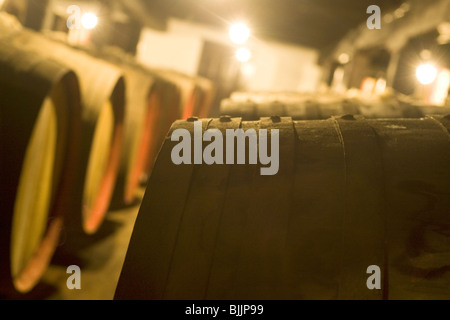 Barils de vin de Madère dans un vin d'âge lodge à Funchal, Madère. Banque D'Images