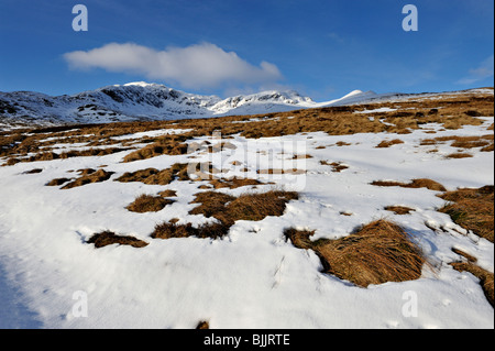 Clumps of grass show through a large snow-patch beneath distant snow-capped mountains under blue sky Banque D'Images