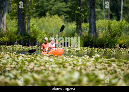 Couple de retraités kayak dans les feuilles de nénuphar dans la navigation intérieure Banque D'Images