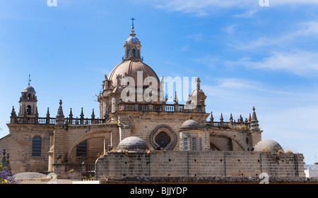 Cathédrale de Jerez de la Frontera, Andalousie, Espagne, Europe Banque D'Images