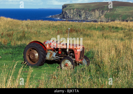 Massey Ferguson 135 Old Red le tracteur dans le champ, par la côte nord de l'Ecosse Banque D'Images
