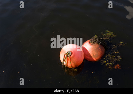 Bouées Banque D'Images