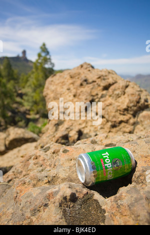 De bière vide peut tropical dans les montagnes ou Cumbres de Gran Canaria. L'île tropicale est la bière de marque Banque D'Images