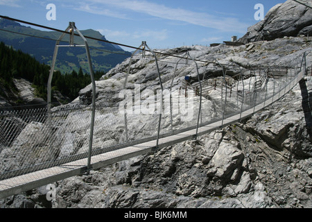 Pont de corde vide dans la région de Grindelwald Glacier dans les alpes Suisse Banque D'Images