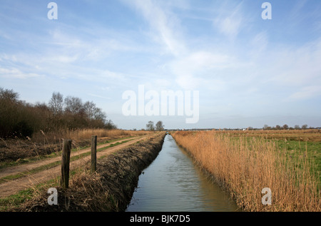 Norfolk Broads dyke de drainage de la rivière Thurne à Martham, Norfolk, Royaume-Uni. Banque D'Images