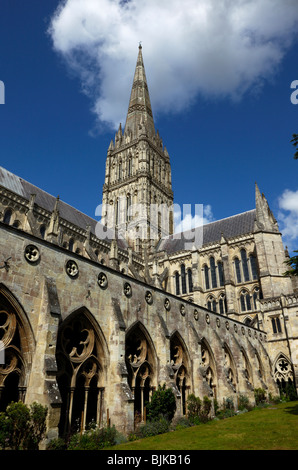 L'Angleterre, dans le Wiltshire, Salisbury, cathédrale, cloître et Spire. Plus haut clocher d'église en Angleterre. Banque D'Images