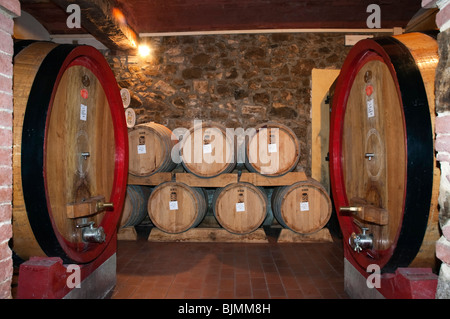 Des tonneaux de vin, cave à vin dans la cave Brunello, le Fattoria dei Barbi, Podernovi, Montalcino, Toscane, Italie, Europe Banque D'Images