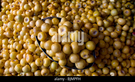 Byrsonima Crassifolia, populairement connu sous le nom de nance, fruits à vendre à Taxco de Alarcon, dans l'État de Guerrero, Mexique Banque D'Images